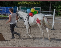 1-13JUIN 1207